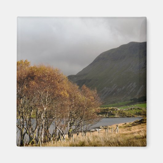 UITZICHTEN VAN WALES MAGNEET (Voorkant)