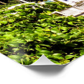 UITZICHTEN VAN WALES PERFECT POSTER (Hoek)