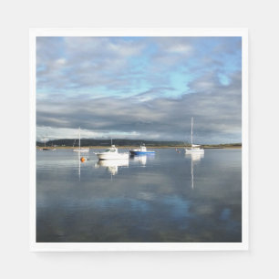 UITZICHTEN VAN WALES SERVETTEN