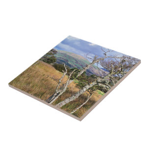 UITZICHTEN VAN WALES TEGELTJE