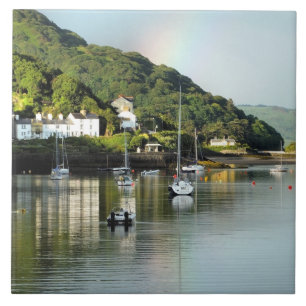 UITZICHTEN VAN WALES TEGELTJE