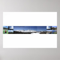 uitzichten van zoogdieren