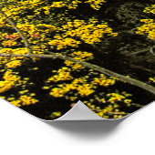 (UK) Brighton Pavillion POSTER (Coin)