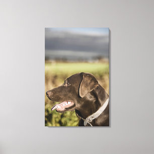 UK, England, Suffolk, Thetford Forest, Profile Canvas Afdruk