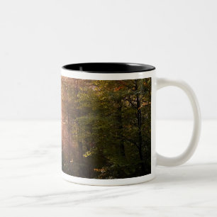 UK. Forest of Dean. Zonnestraal die een Tweekleurige Koffiemok