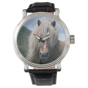 UK, Schotland, Shetland Islands, Shetland pony Horloge