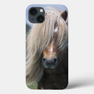 UK, Schotland, Shetlandeilanden, Shetlandpony iPhone 13 Hoesje