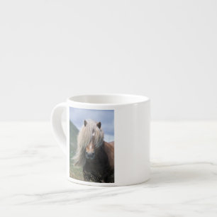 UK, Schotland, Shetlandeilanden, Shetlandpony Espresso Kop