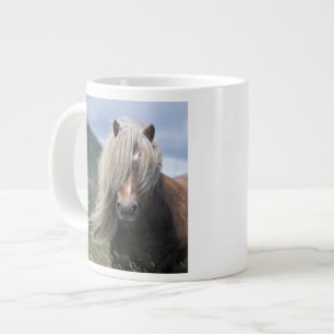 UK, Schotland, Shetlandeilanden, Shetlandpony Extra Grote Mok