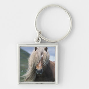 UK, Schotland, Shetlandeilanden, Shetlandpony Sleutelhanger