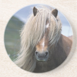 UK, Schotland, Shetlandeilanden, Shetlandpony Zandsteen Onderzetter