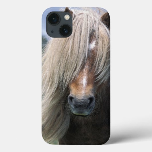 UK, Scotland, Shetland Islands, Shetland pony Case-Mate iPhone Case (Achterkant)
