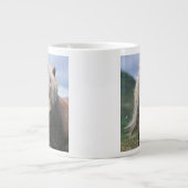 UK, Scotland, Shetland Islands, Shetland pony Extra Grote Mok (Voorkant)