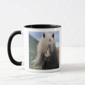 UK, Scotland, Shetland Islands, Shetland pony Mok (Links)