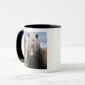 UK, Scotland, Shetland Islands, Shetland pony Mok (Voorkant links)