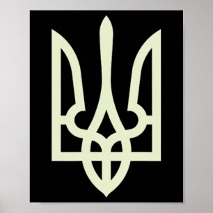 Ukraïens leger T-shirt Volodymyr Zelenskyy T-shirt Poster
