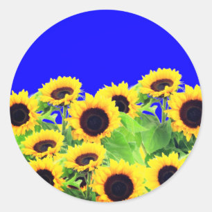 Ukraine Drapeau couleurs Stickers Tournesols - Lib