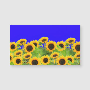 Ukraine Drapeau couleurs Tournesols Magnet