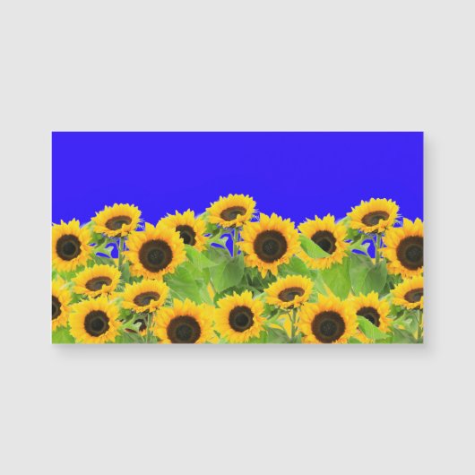 Ukraine Drapeau couleurs Tournesols Magnet (Devant)