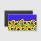 Ukraine Drapeau couleurs Tournesols Magnet (Devant / Derrière)