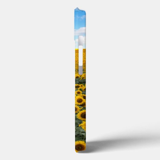 UKRAINE IPHONE 13 COQUE  (Verso / Gauche)