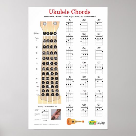 Ukulele Chords Finger Chart en Fretboard Poster (Voorkant)