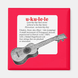 Ukulele Definition Magnet Magneet
