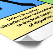 Ulceratief Colitis Poster (Hoek)