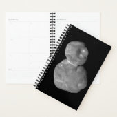 Ultima Thule Arrokoth Kuiper Belt Object Planner (Display)