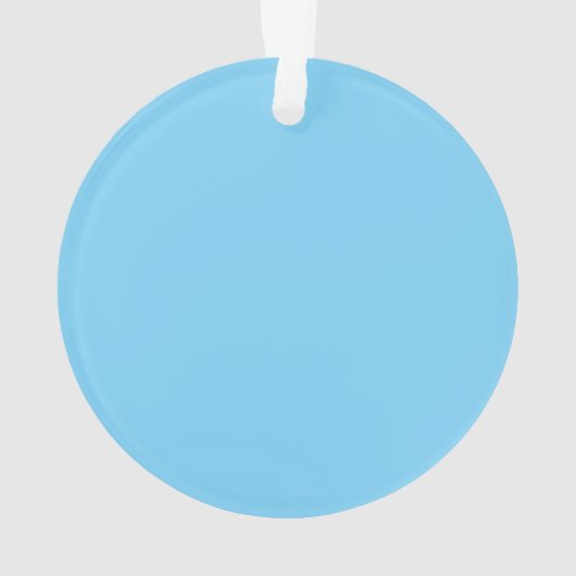 Ultimate Frisbee Ornament (achterkant)