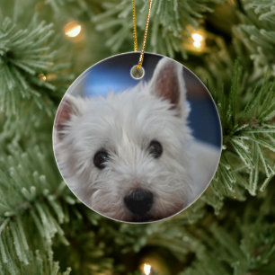 Ultra Cute Pestie Westie Terrier Keramisch Ornament