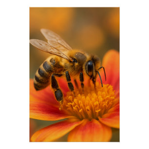 Ultra Macro Honingbij Close-up Fotorealistisch Perfect Poster