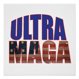 Ultra MAGA Trump Supporter 💡 Geweldig Weer USA Perfect Poster