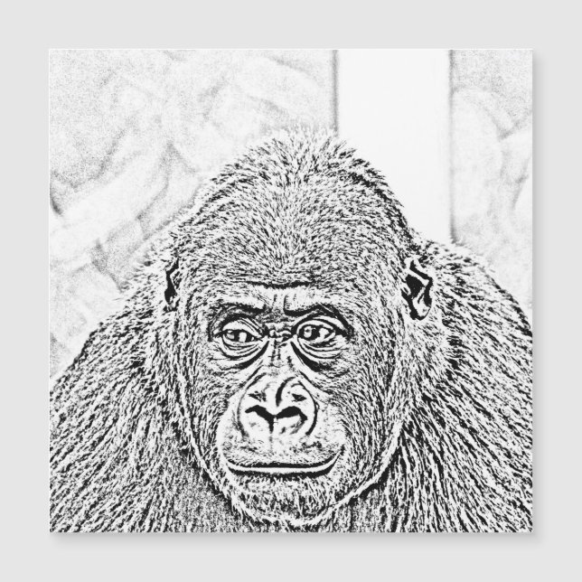 ultra-sketch gorilla (Voorkant)