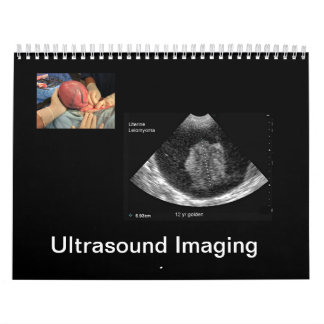 Ultrasound Afbeeldingen Agenda Kalender