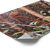 ULUHE FERN POSTER (Hoek)
