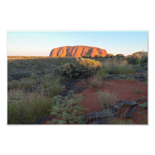 Uluru Sunrise en Desert Flora Foto Afdruk