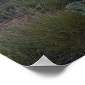 Uluru Sunrise en Desert Flora Poster (Hoek)