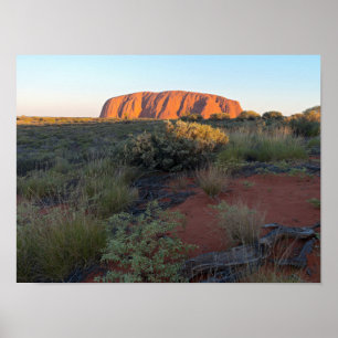 Uluru Sunrise en Desert Flora Poster