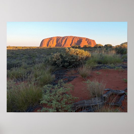 Uluru Sunrise en Desert Flora Poster (Voorkant)