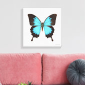 Ulysses Butterfly Canvas Afdruk (Insitu (Woonkamer))