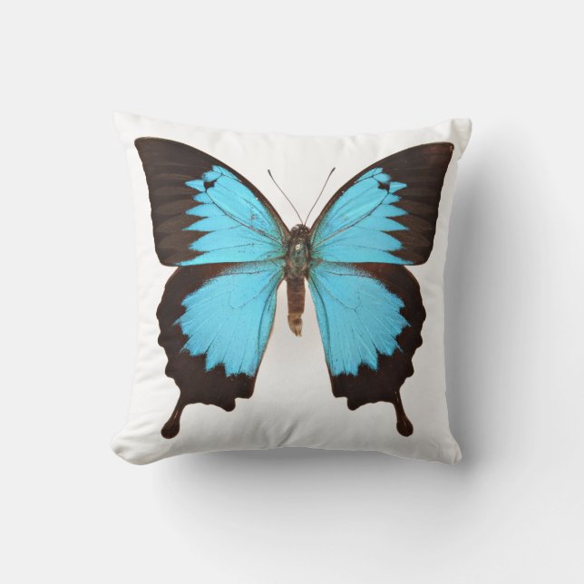 Ulysses Butterfly Kussen (Voorkant)