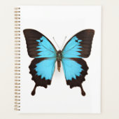 Ulysses Butterfly Planner (Voorkant)