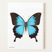 Ulysses Butterfly Planner (Achterkant)