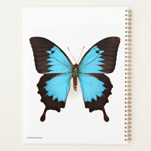 Ulysses Butterfly Planner (Achterkant)