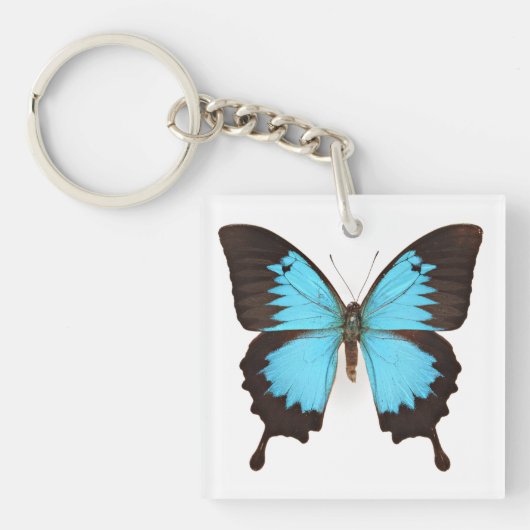 Ulysses Butterfly Sleutelhanger (Voorkant)