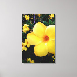 Uma alamanda canvas afdruk