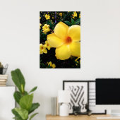 Uma alamanda poster (Thuiskantoor)