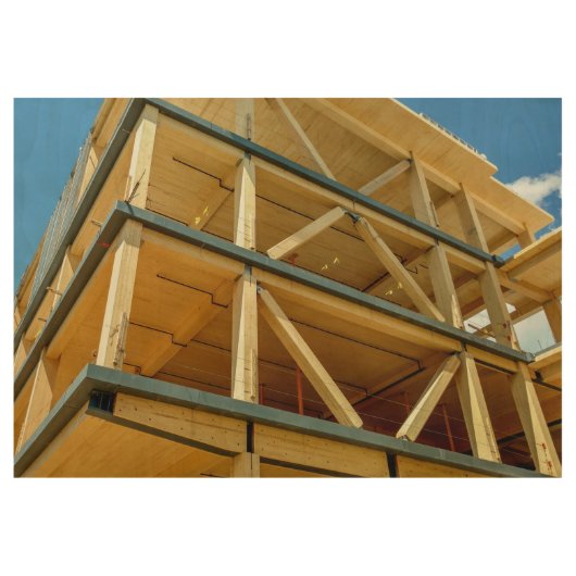 UMass Olver Design Building Houten Poster (Voorkant)