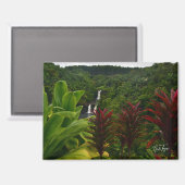 Umauma Herfsten, Hawaii magneet (Voorkant / Achterkant)